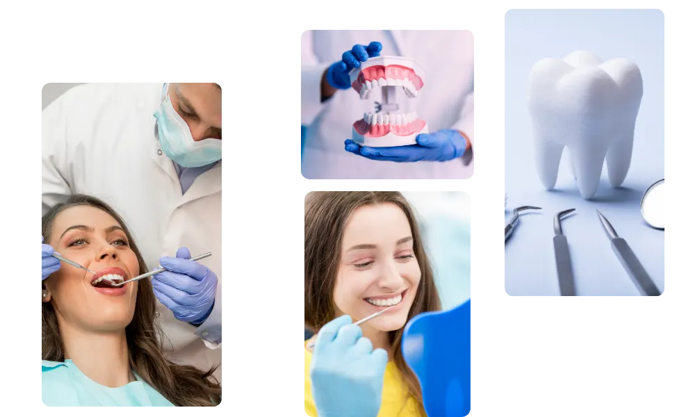 Dental Clinic Smiling Patient